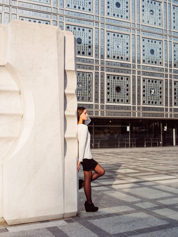 Institut du Monde Arabe